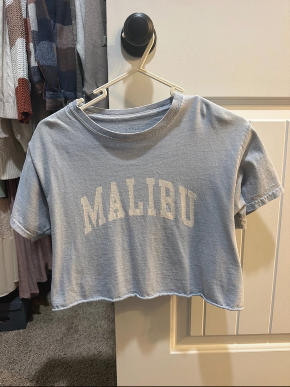 Brandy Melville Light Blue Malibu Cropped Tee
